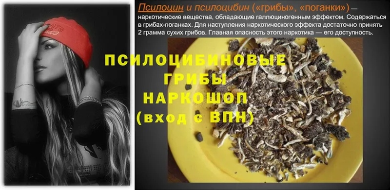 Псилоцибиновые грибы Psilocybe  где найти   сайты даркнета официальный сайт  Игра 